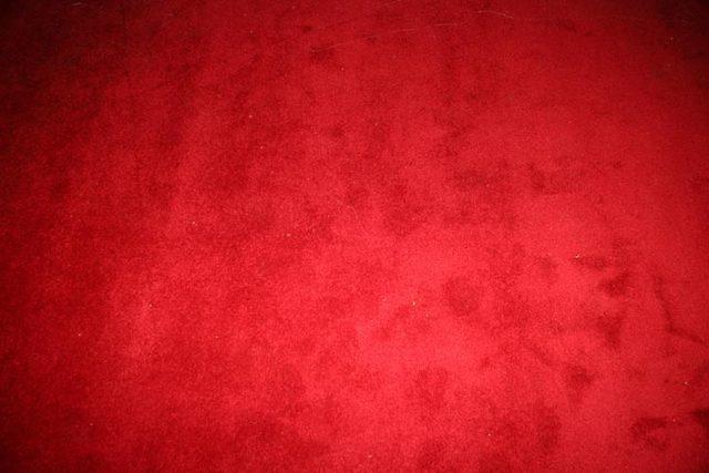 The red carpet was laid...