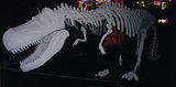 Walking Dino Skeleton - New York City Halloween Parade
