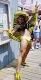 Bumble Bee - Fire Island Invasion, 2001
