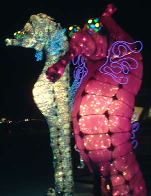 Seahorses 2 - Burning Man 2002