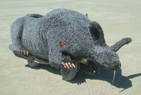 Aardvark car