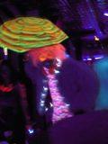 And hundreds of people in black light reactive costumery