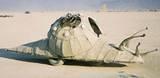 Snail Bike - Burning Man 2001.  To edit record e-mail Editor@CostumeNetwork.com.