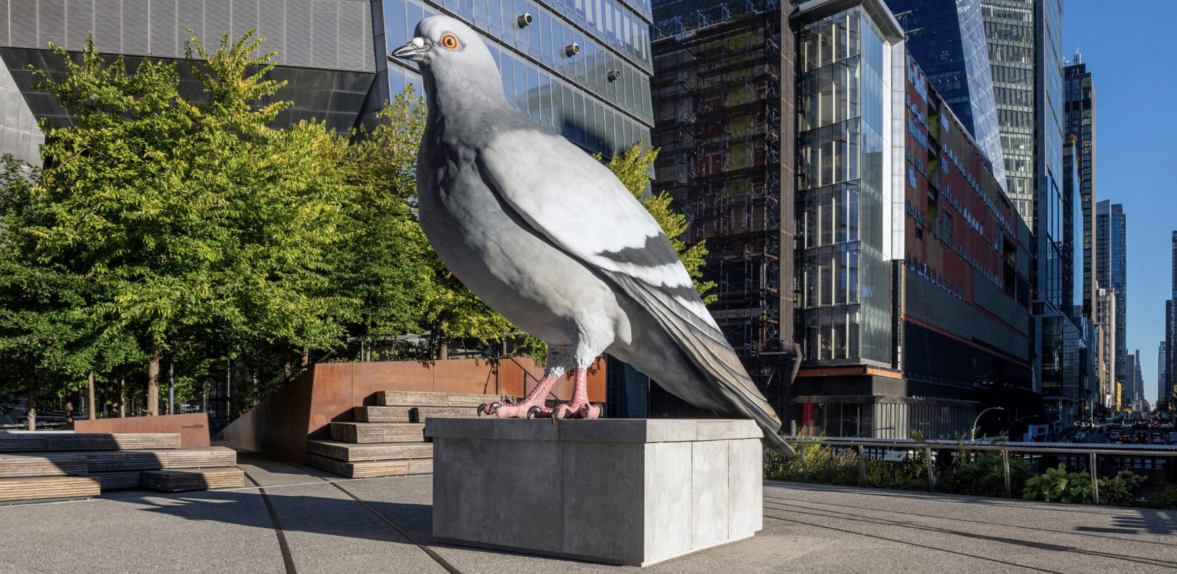 Pigeon Impersonation Pageant